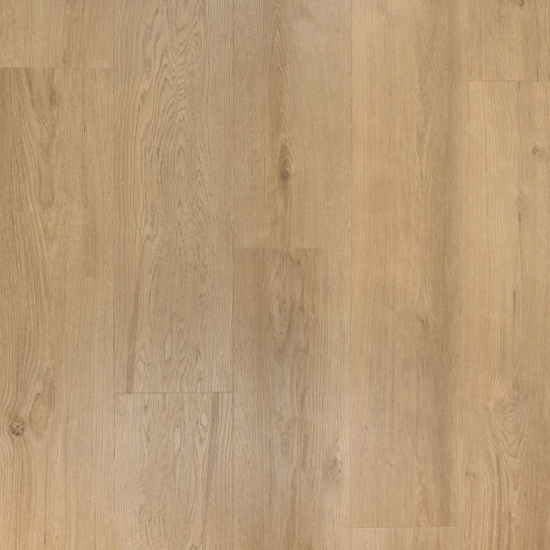 Shop Nu Douwes Dekker Ambitieus Riante Plank 04726 Gemberkoek